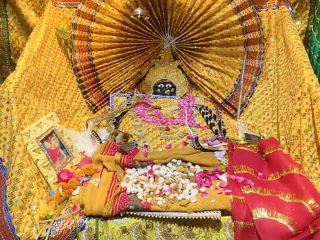 मथुरा में राधारानी कमल पर प्रकट हुईं, सखियां जमकर झूमीं:बांके बिहारी लाल को राधारानी की तरह सजाया, श्रद्धालुओं पर दूध-दही, केसर की बौछार