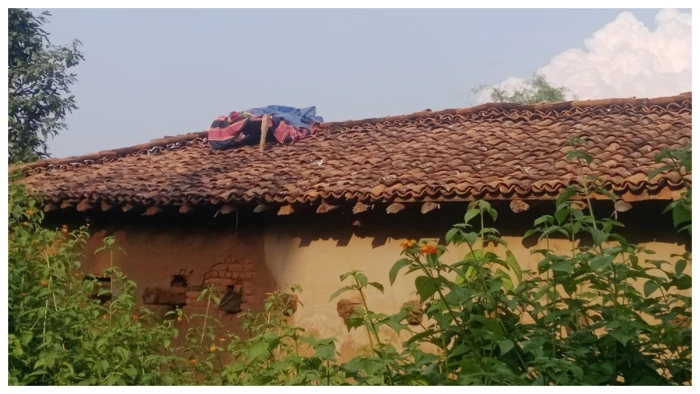 पसान क्षेत्र में हाथियों की आहट से उड़ी ग्रामीणों की नींद, छप्पर पर खाट बनी एकमात्र उम्मीद
