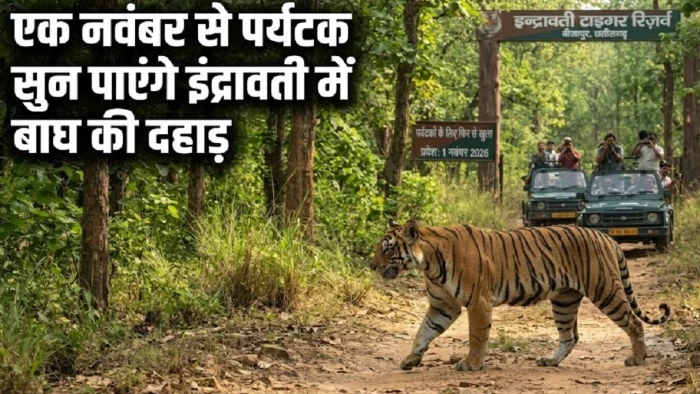 बस्तर के इंद्रावती टाइगर रिजर्व में 40 साल बाद पर्यटन शुरू, एक नवंबर से बाघ की दहाड़ सुन पाएंगे पर्यटक