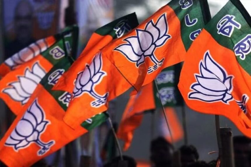 बीजेपी ने यूपी से राज्यसभा चुनाव के लिए 8 उम्मीदवारों का किया ऐलान.