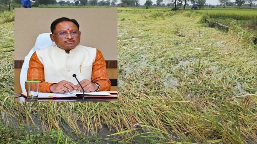 चक्रवात ‘अर्नब’ से प्रभावित किसानों को मिलेगी राहत, CM साय ने दिए तत्काल सर्वे के निर्देश